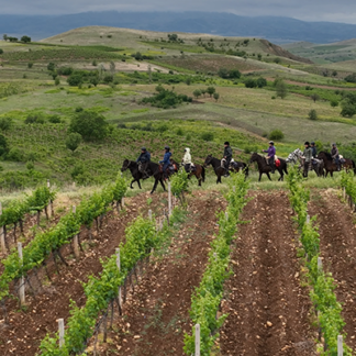 Horse riding holiday - Dionysus Trail